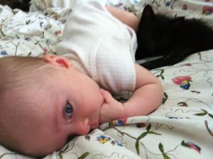 Zoe the little black kitten loves her new nap buddy.